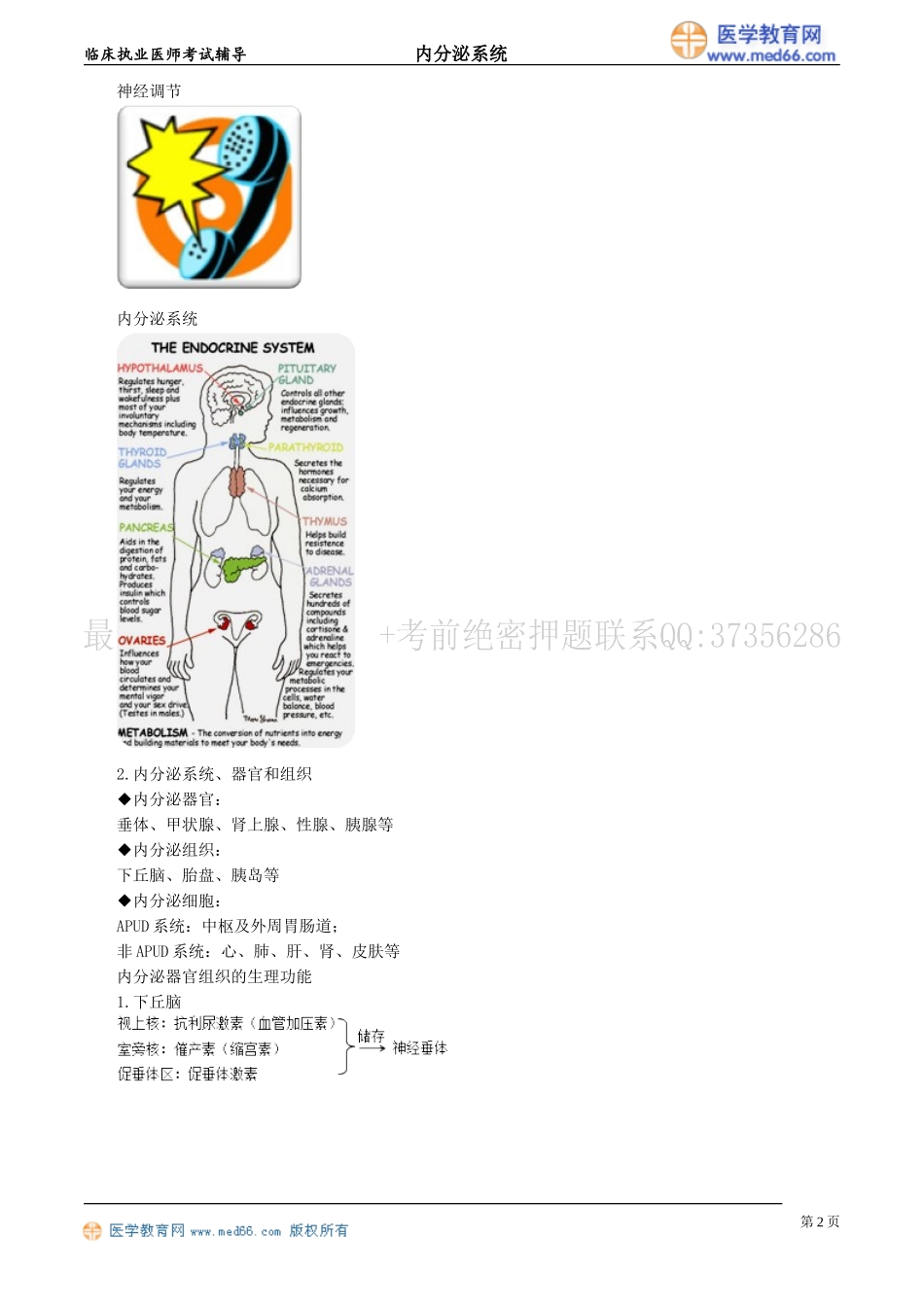 执业医师-内分泌及代谢性疾病概述_第2页