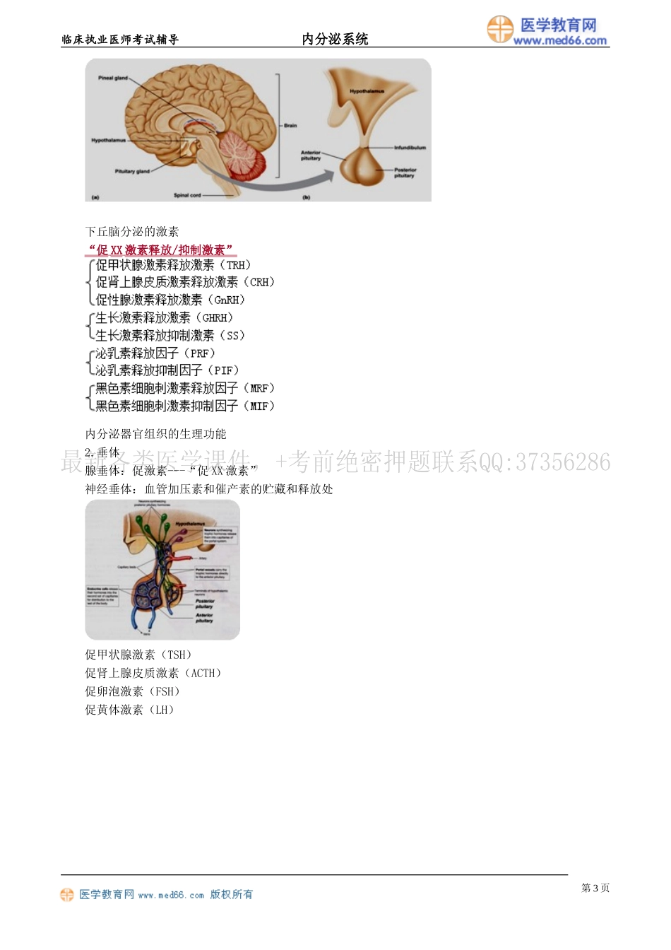 执业医师-内分泌及代谢性疾病概述_第3页