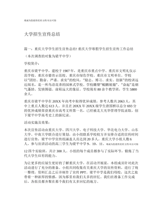大学招生宣传总结