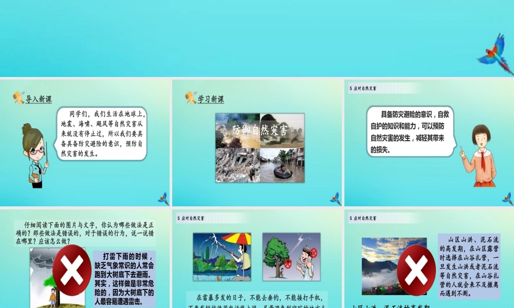 六年级道德与法治下册应对自然灾害(第2课时)部编版