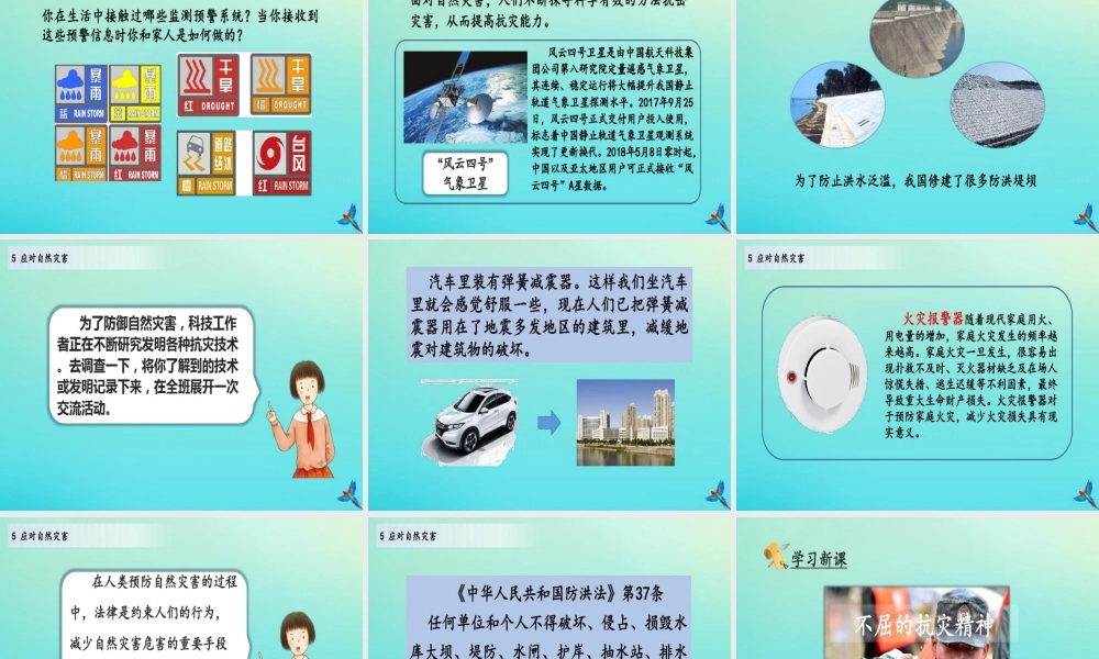 六年级道德与法治下册应对自然灾害(第2课时)部编版