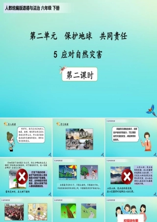六年级道德与法治下册应对自然灾害(第2课时)部编版