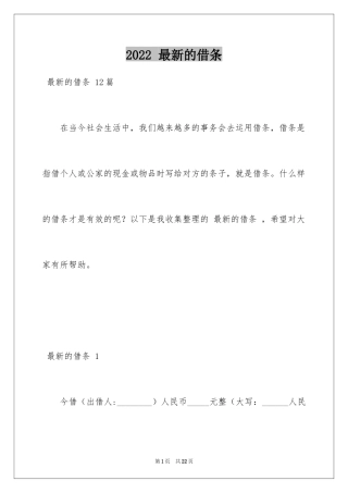 2022 最新的借条 _2