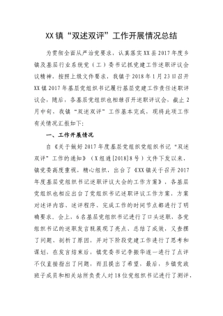“双述双评”工作开展情况总结