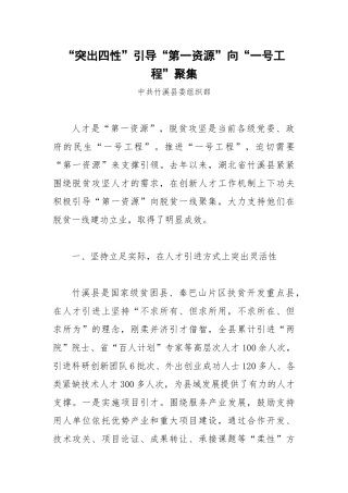 【每日范文】“突出四性”引导“第一资源”向“一号工程”聚集