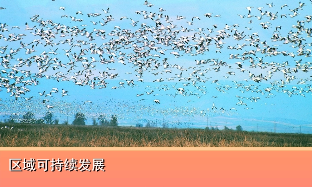 §21荒漠化的危害与治理(文)