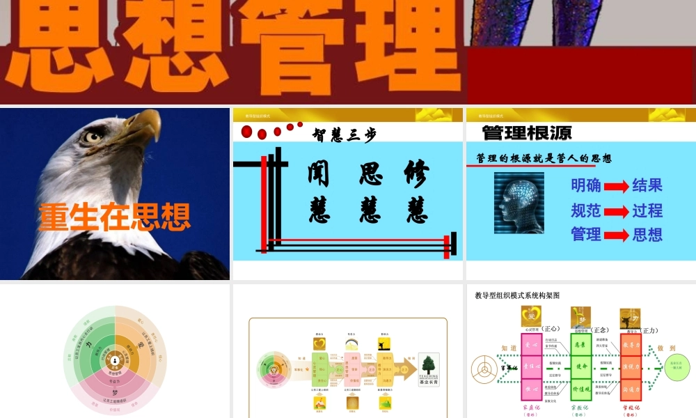 ★教导型组织模式-思想管理(二)