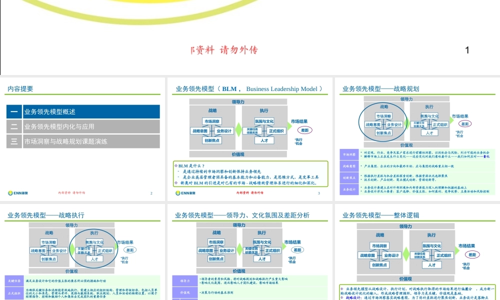 ★战略规划方法论-业务领先模型(BLM)理论与实践-双优版