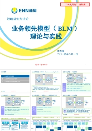 ★战略规划方法论-业务领先模型(BLM)理论与实践-双优版