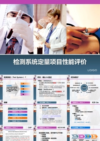 ※※检测系统定量项目性能评价