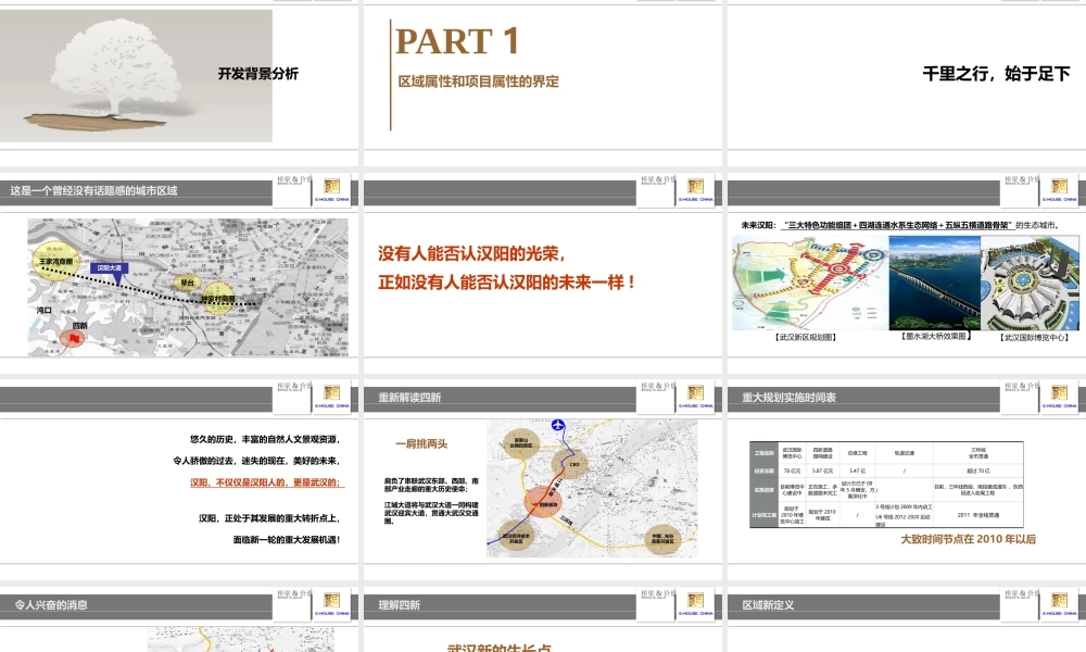 Ⅰ金地集团四新项目发展研究报告之项目发展战略分析