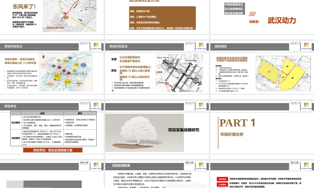 Ⅰ金地集团四新项目发展研究报告之项目发展战略分析