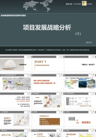 Ⅰ金地集团四新项目发展研究报告之项目发展战略分析