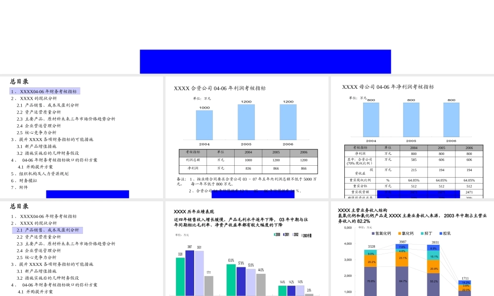 XXXX～年战略规划