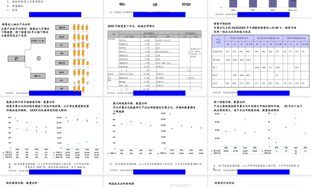 XXXX～年战略规划