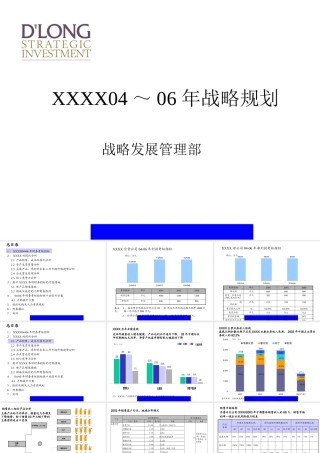 XXXX～年战略规划