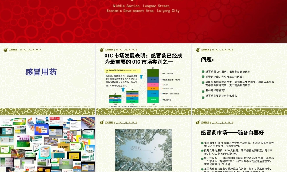 XXXX板蓝根分散片策划案-80P