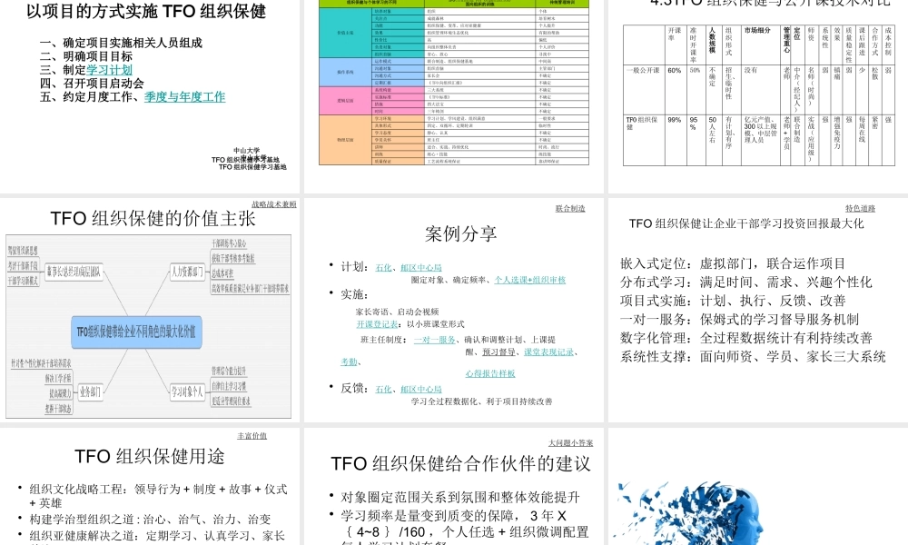 XXXX版TFO产品介绍-idea