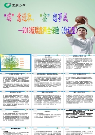 XXXX版瑞鑫产品培训lt