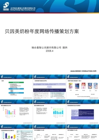 XXXX贝因美年度网络传播策划方案