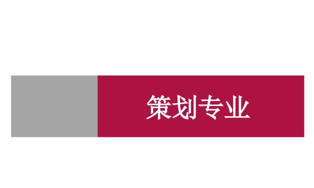 XXXX策划专业全程模板