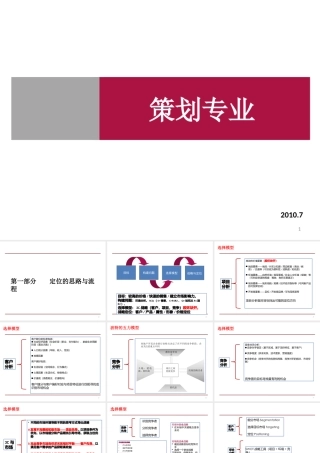 XXXX策划专业全程模板