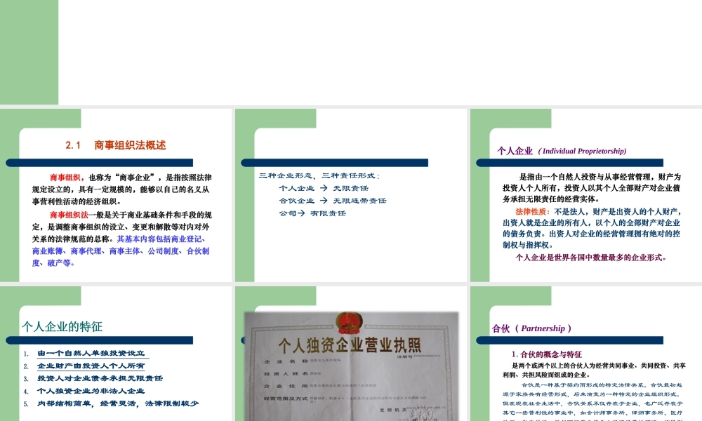 《国际商法》第2章_商事组织法