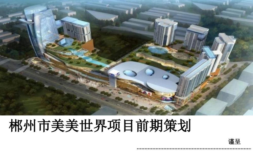 XXXX郴州市美美世,界项目前期策划