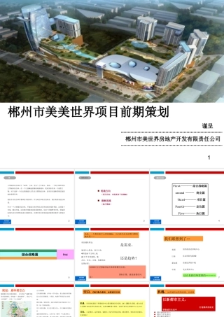 XXXX郴州市美美世,界项目前期策划