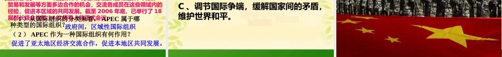 《国际社会的主要成员主权国家和国际组织》