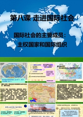 《国际社会的主要成员主权国家和国际组织》