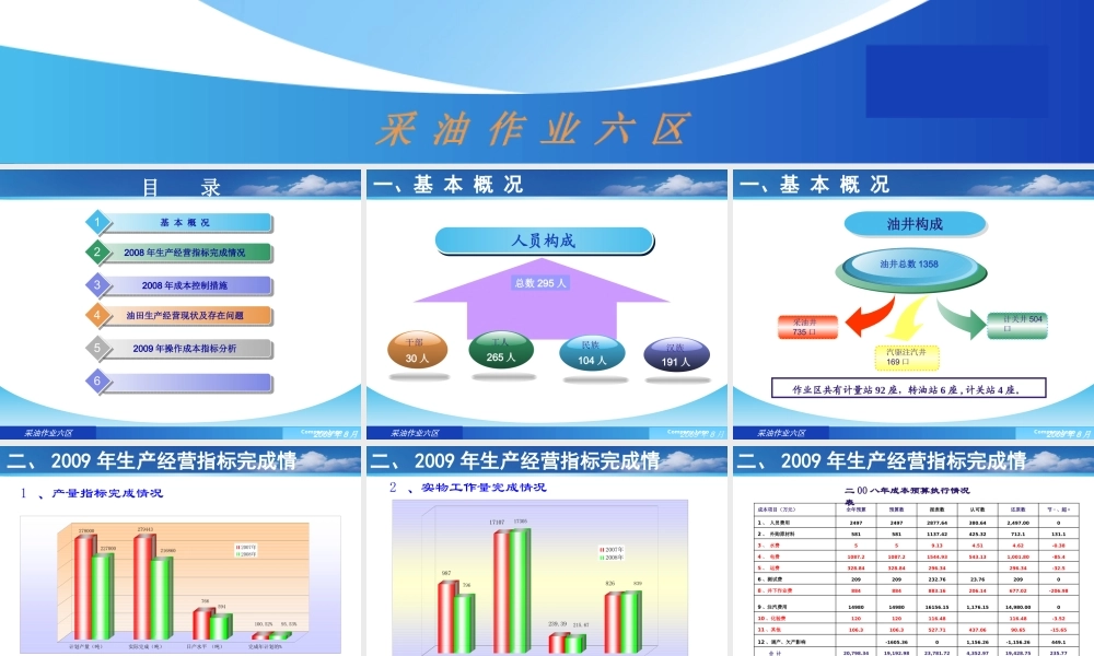XXXX成本汇报