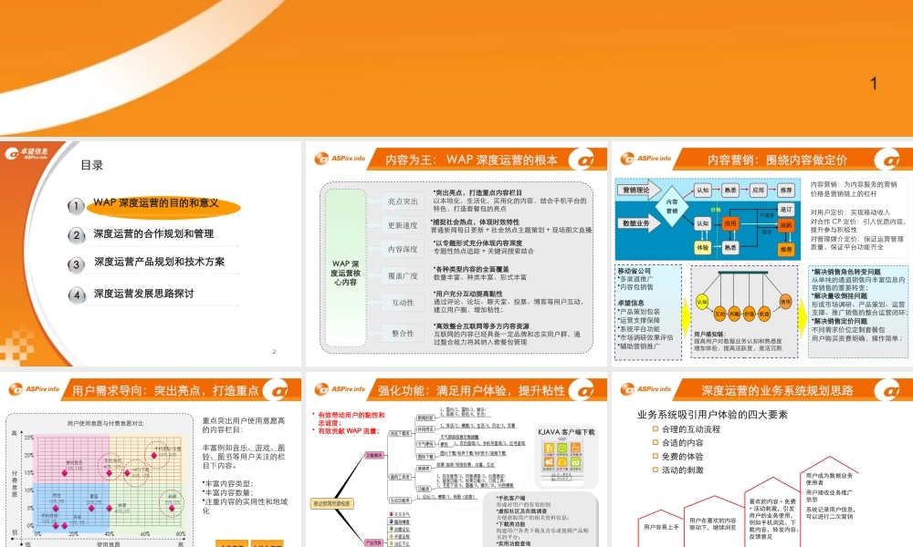 XXXX成都知名3G门户深度运营规划