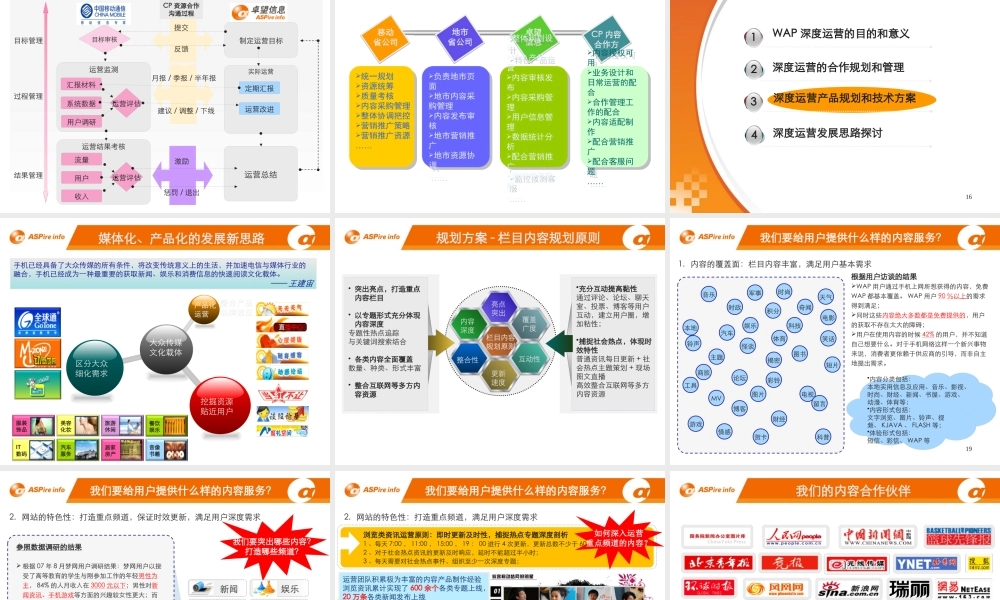 XXXX成都知名3G门户深度运营规划