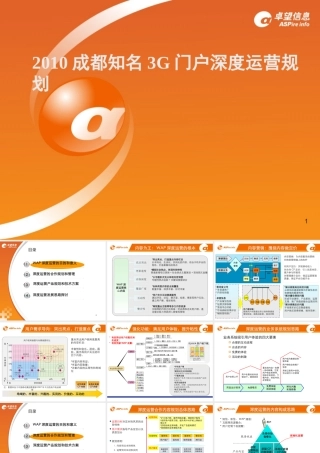 XXXX成都知名3G门户深度运营规划