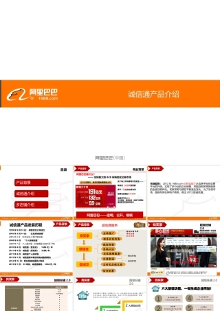XXXX诚信通产品介绍