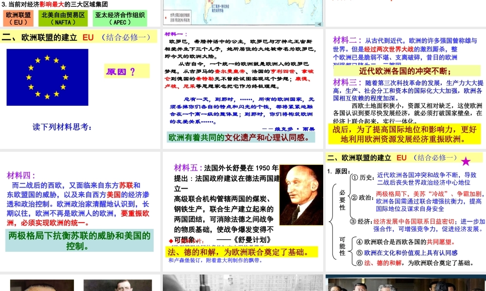 XXXX当今世界经济区域集团化的发展