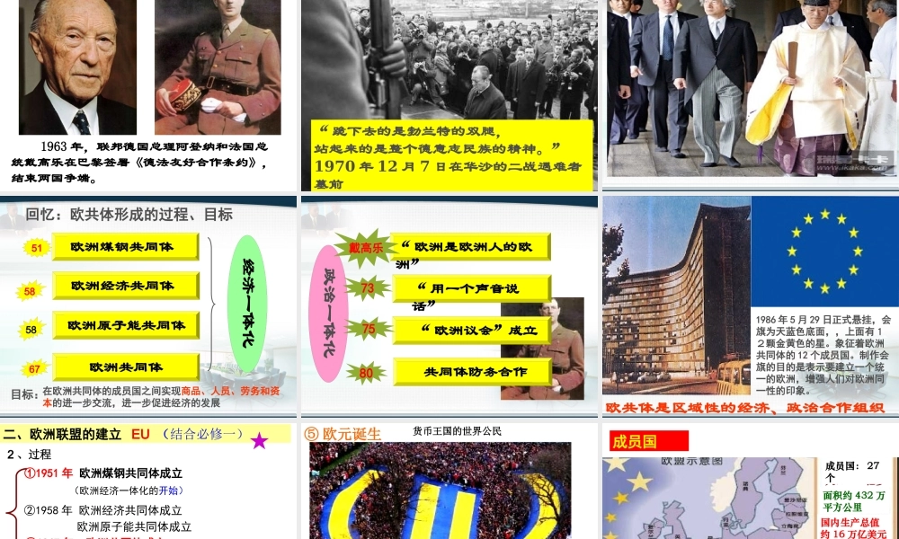 XXXX当今世界经济区域集团化的发展