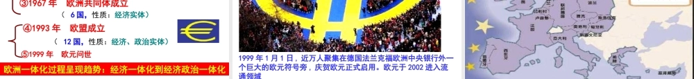 XXXX当今世界经济区域集团化的发展