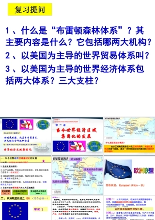 XXXX当今世界经济区域集团化的发展