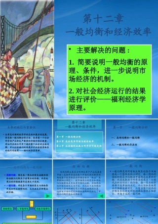 一般均衡与经济效率