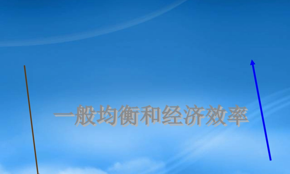 一般均衡与经济效率吴亚男张杰