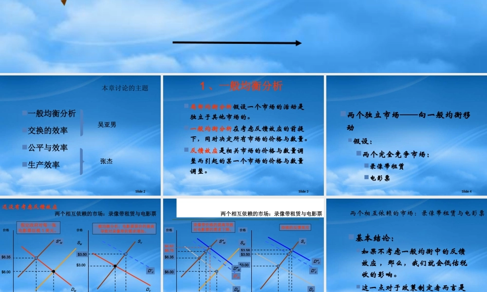一般均衡与经济效率吴亚男张杰