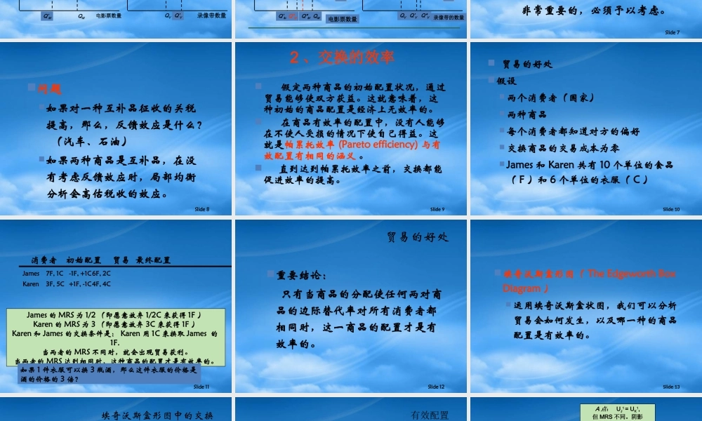 一般均衡与经济效率吴亚男张杰