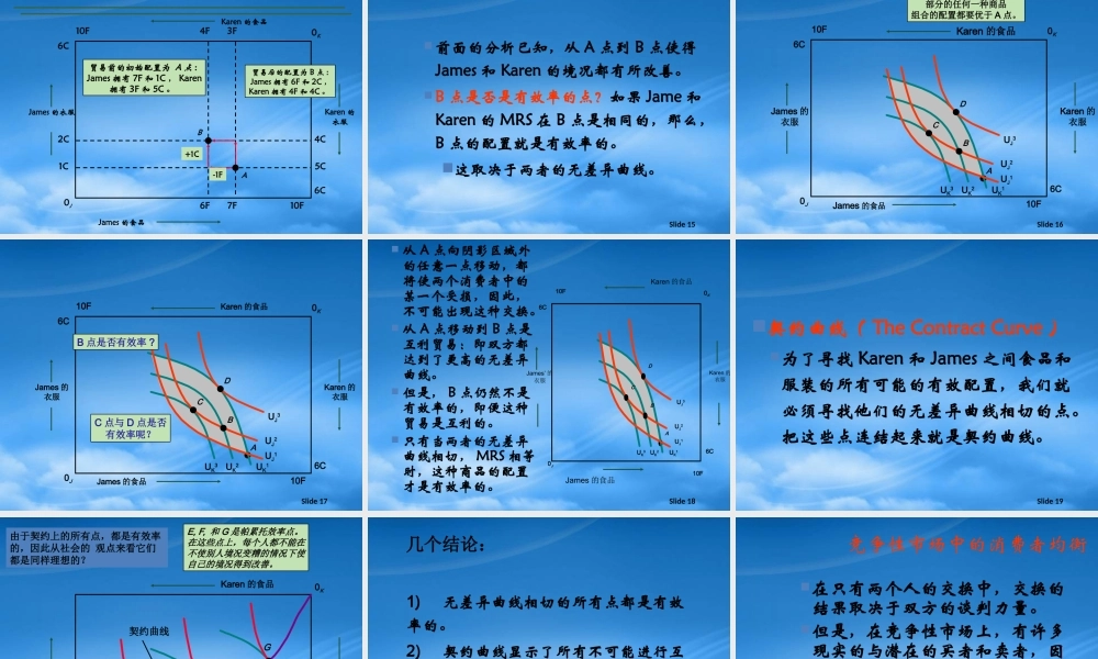 一般均衡与经济效率吴亚男张杰