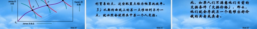 一般均衡与经济效率吴亚男张杰
