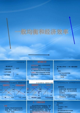 一般均衡与经济效率吴亚男张杰