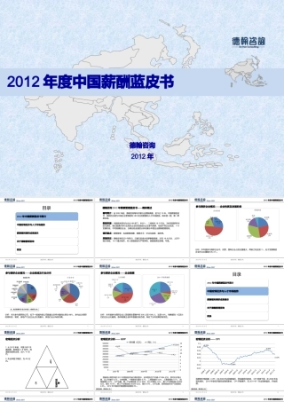 XXXX德翰咨询薪酬调研蓝皮书