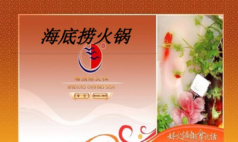 《海底捞火锅店可行性研究报告》