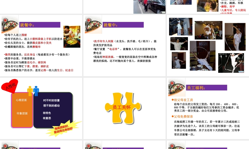 《海底捞火锅店可行性研究报告》